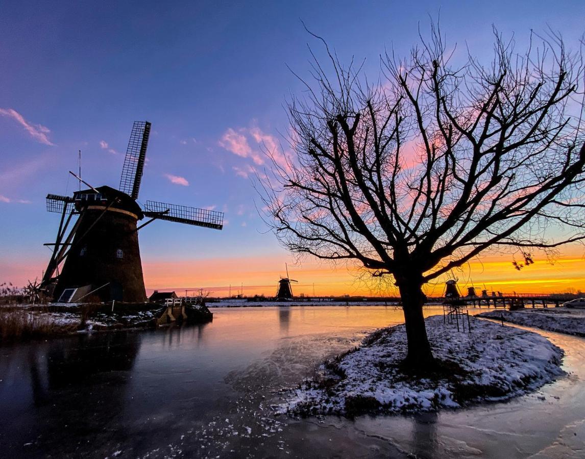 Guesthouse Rotterdam, Tinyhouse Nearby Kralingen 外观 照片